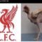 1761801325074-meme-liverpool-kalah-1761790693938_43