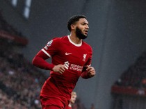 1761844780728-joe-gomez_43