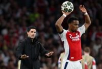 1761909277954-jurrien-timber-1761893233510_43