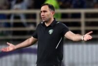 1762924560487-timur-kapadze-1761026097838_43