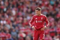 1763399855756-2233201153-1757656225107_43